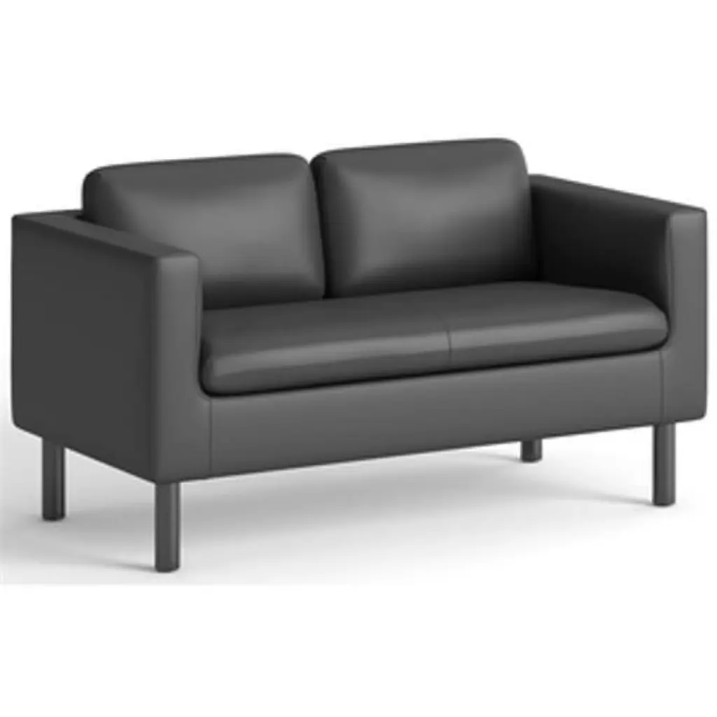 53.5 x 26.8 x 29 Parkwyn Black Loveseat Modern Living Room SeatSolutions