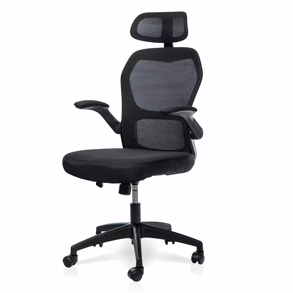 Black Ergonomic Office Chair Adjustable Headrest Tilt Function Lumbar Support Swivel Computer Task Chair Andoe