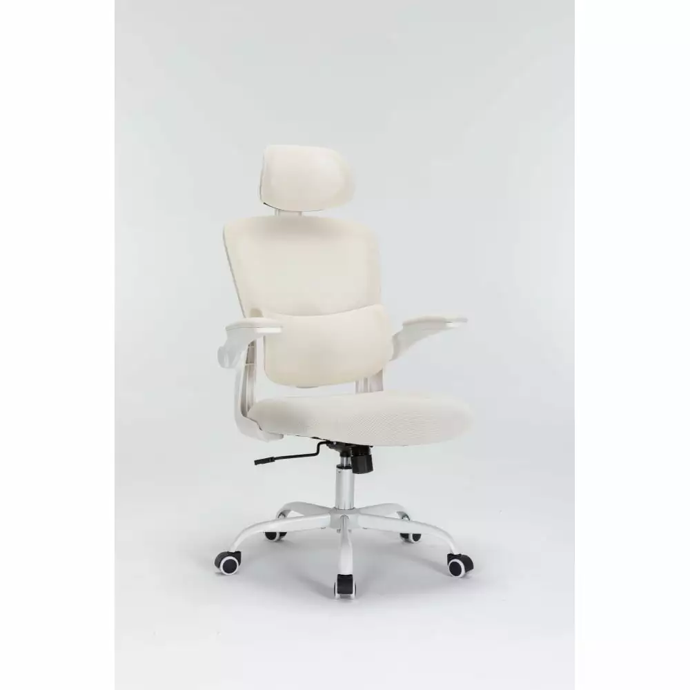 Ergonomic Mesh Office Chair 3D Lumbar Support High Back Flip-up Arms Executive Chair ApexGlow