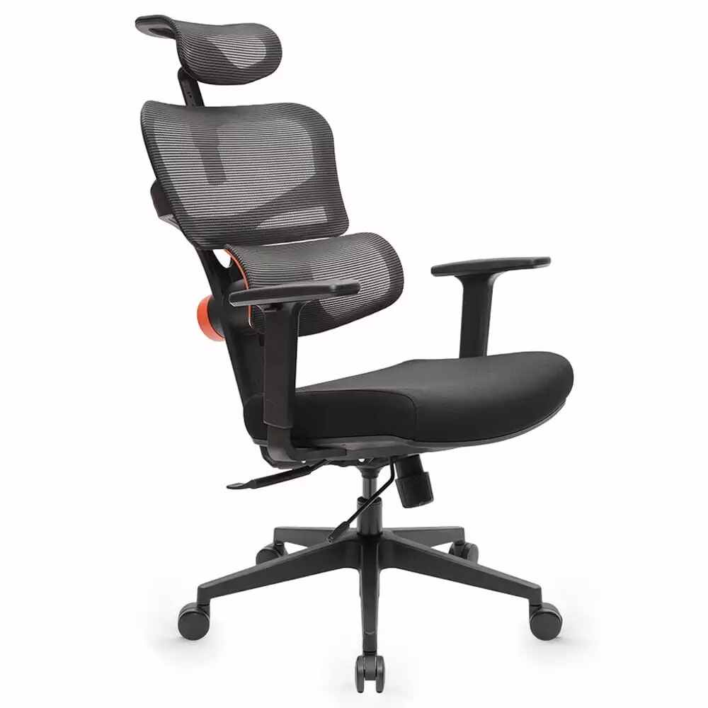 NEWTRAL High Back Ergonomic Office Mesh Desk Chair Armrest and Tiltable Lumbar Support 300lb Capacity
