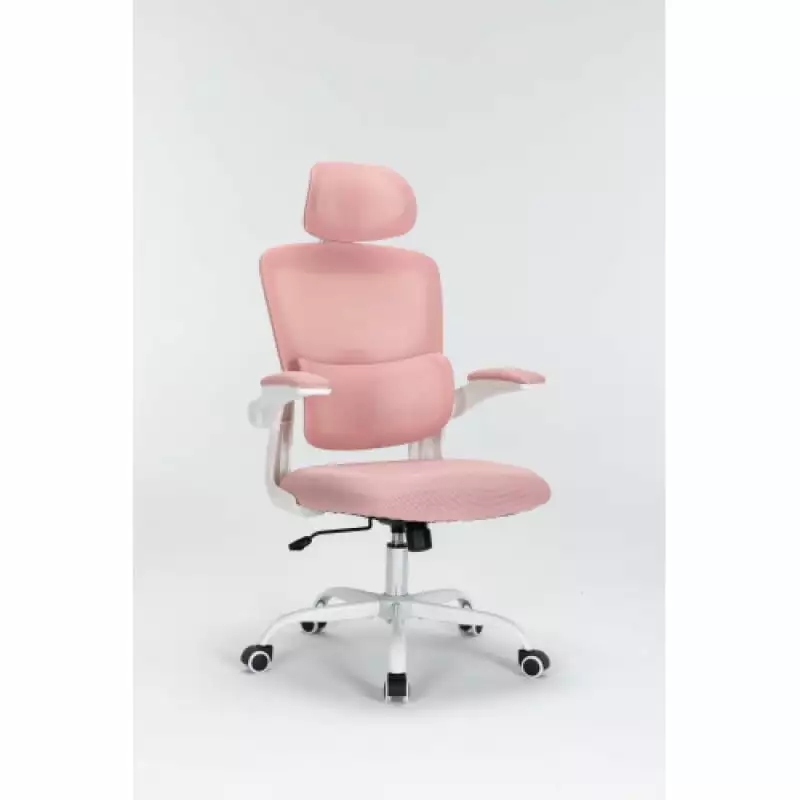 Ergonomic Mesh Office Chair 3D Adjustable Lumbar Support High Back Executive Chair NOBRAND