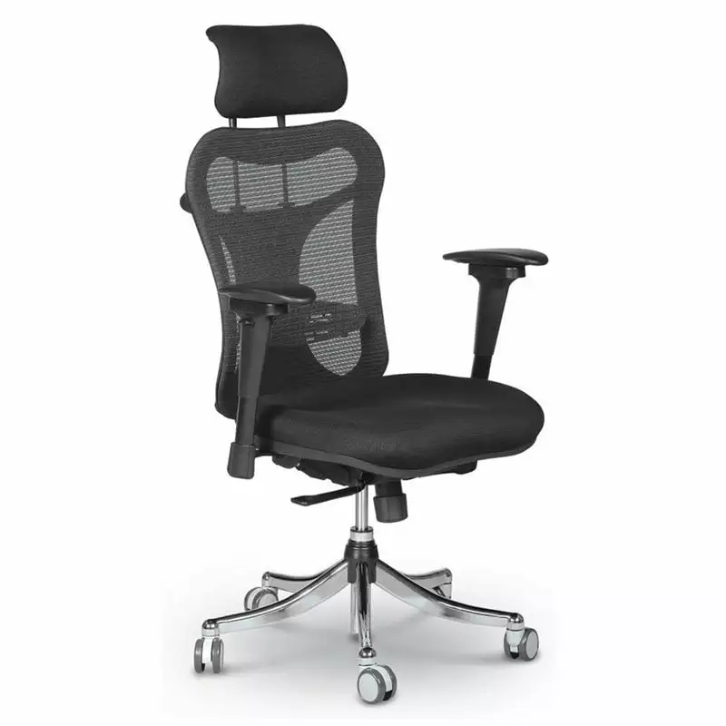 Pemberly Row Plastic Ergo Ex Ergonomic Executive Chair Casters Black - Modern Office Seating