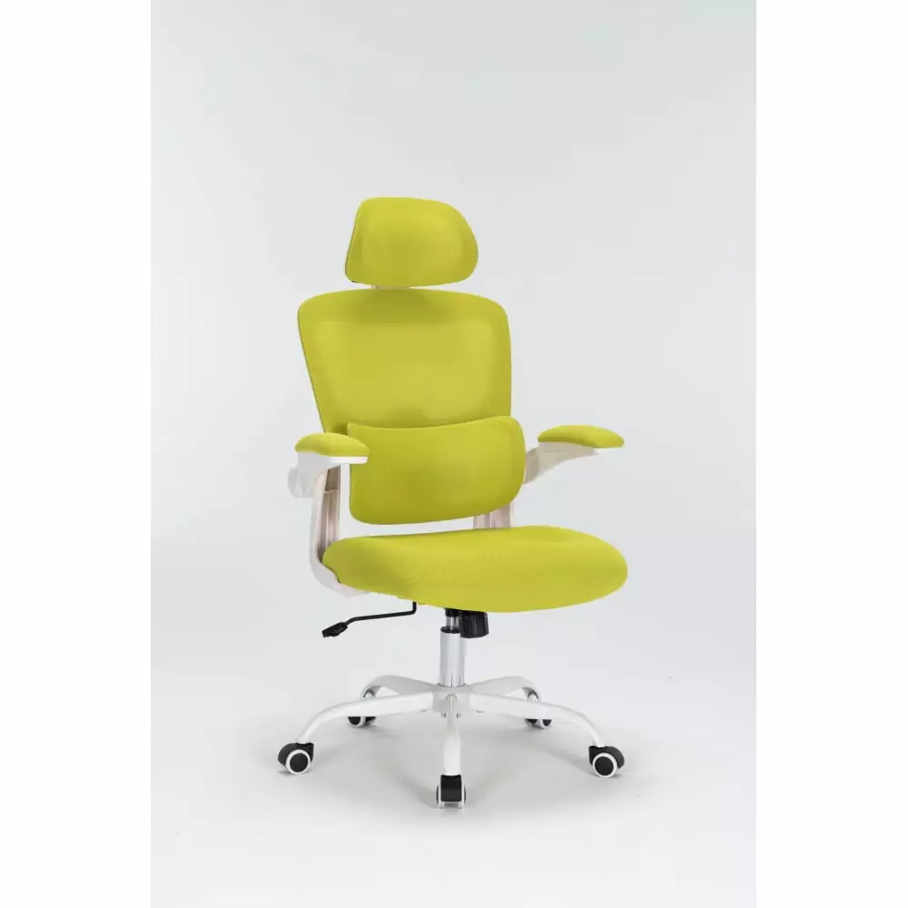 Ergonomic Mesh Office Chair 3D Adjustable Lumbar Support High Back Desk Chair Flip-up Arms Executive Computer Chair ApexGlow