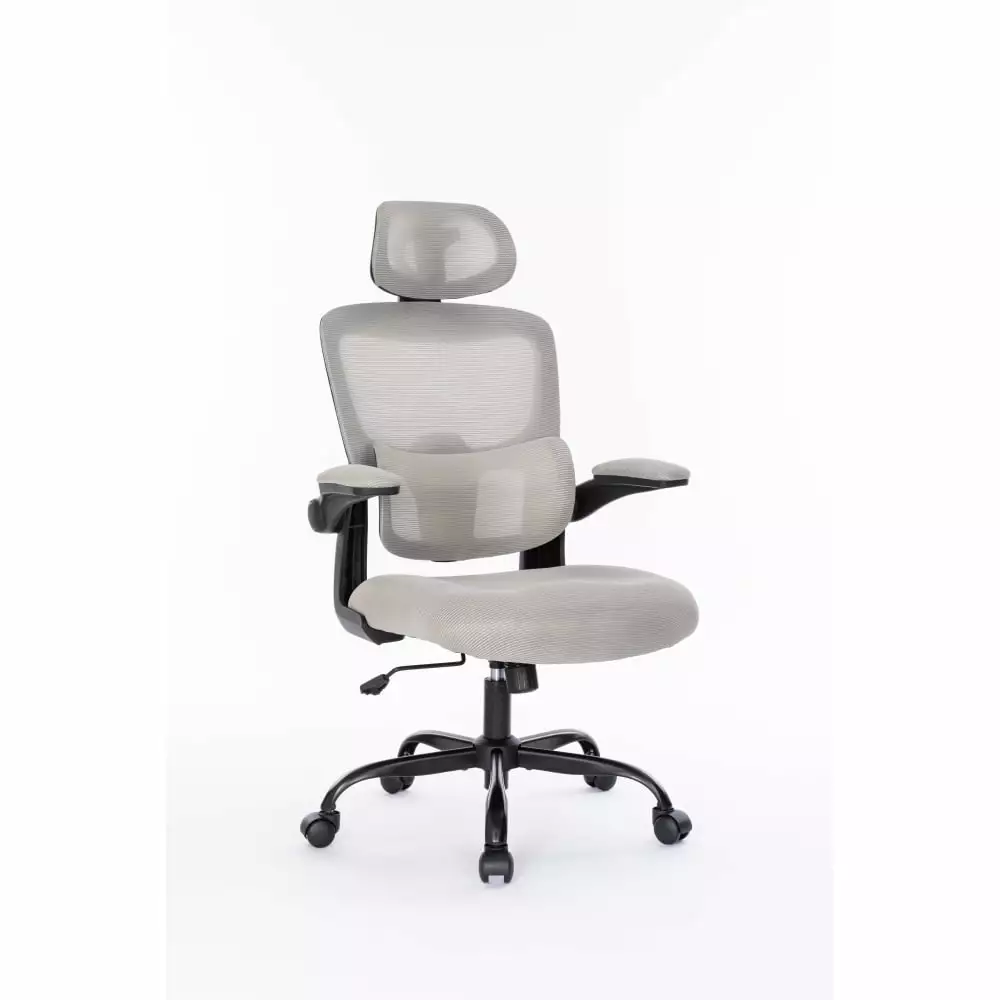 Ergonomic Mesh Office Chair 3D Adjustable Lumbar Support High Back Desk Chair Flip-up Arms Executive Computer Chair ApexGlow