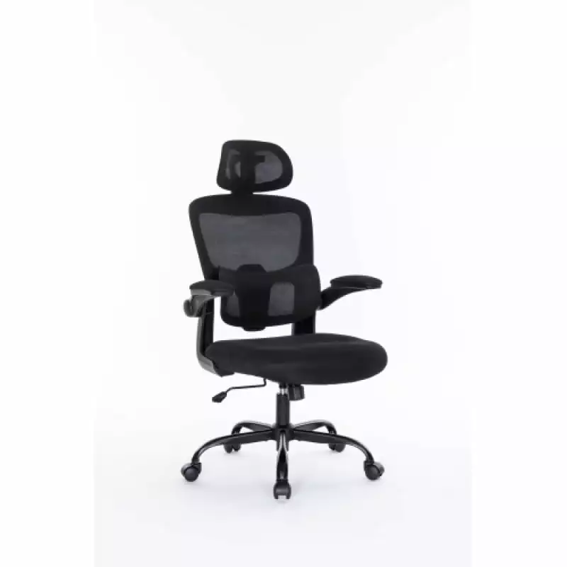 Forest Hymn Ergonomic Mesh Office Chair 3D Adjustable Lumbar Support and Flip-Up Arms - High Back Desk Chair