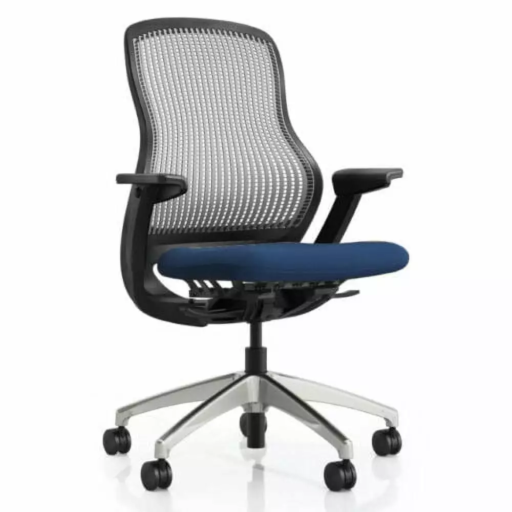Knoll Re-Generation Fully Adjustable Ergonomic Office Chair (Renewed)