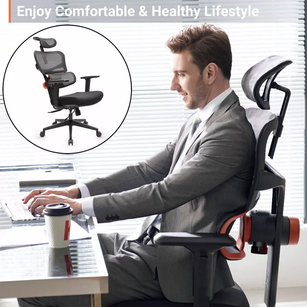 TOPCHANCES High Back Office Chair Ergonomic Desk Chair Adjustable Lumbar Support and Armrest
