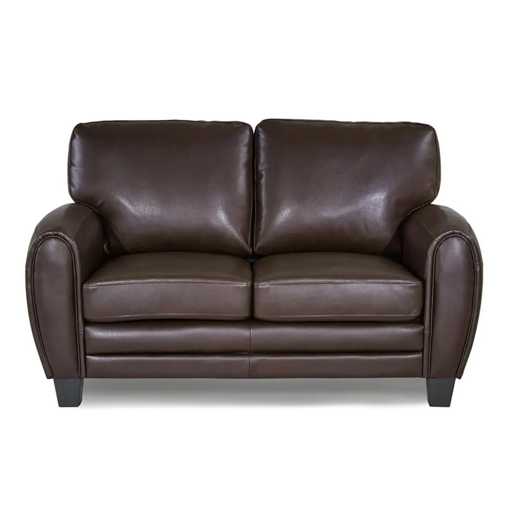 Lexicon Rubin Bonded Leather Loveseat Dark Brown - Luxurious Sofa Living Room