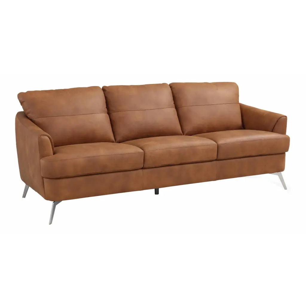 LV00216 Cappuccino Leather Sofa Safi Contemporary Living Room Acme Furniture
