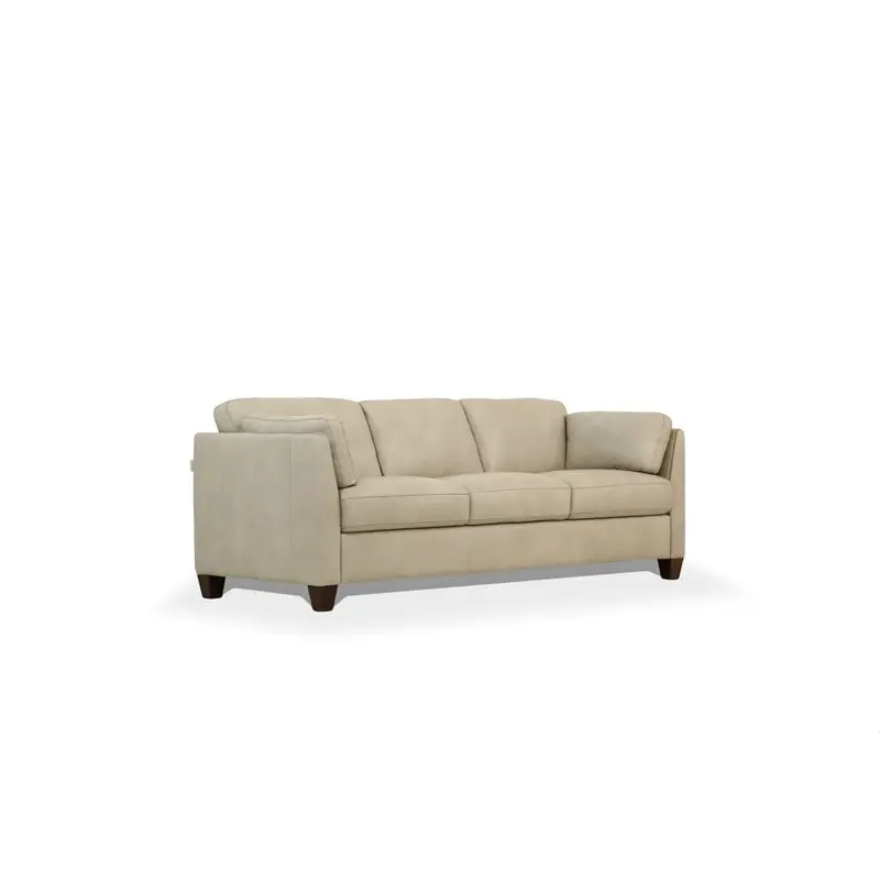 Bowery Hill Modern Contemporary Dusty White Leather Sofa