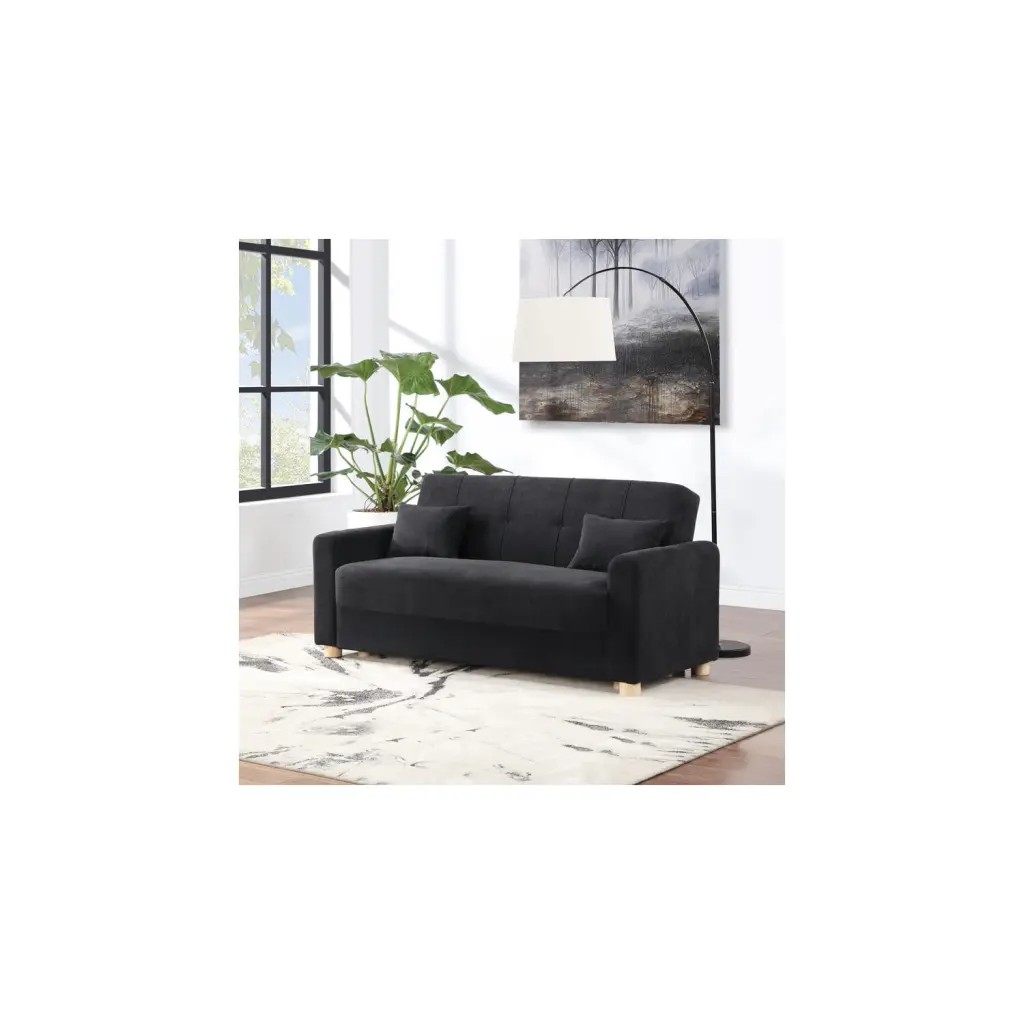 Thomas 66W Black Fabric Convertible Sleeper Loveseat Storage Lilola Home