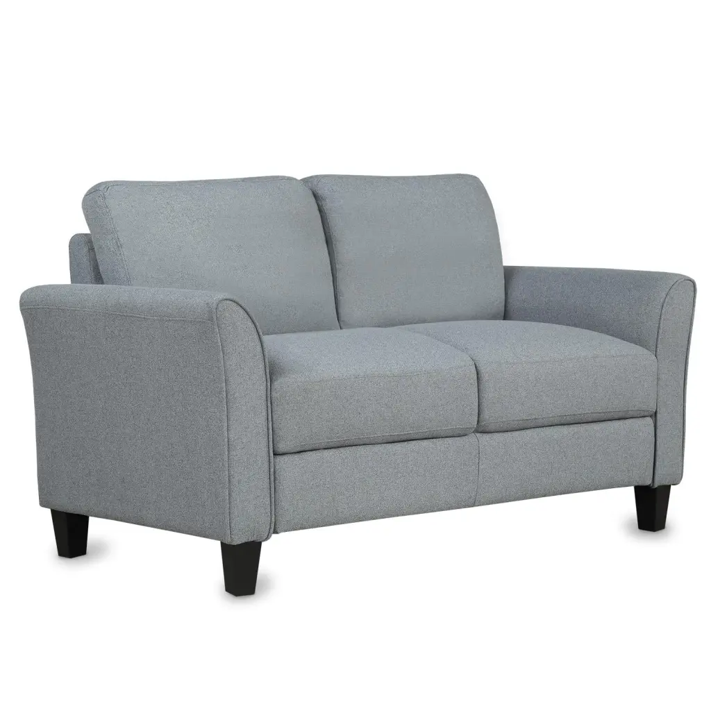 BaytoCare Living Room Furniture Love Seat Sofa Double Seat Sofa Loveseat Chair Gray