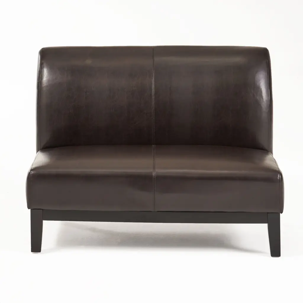 GDF Studio Nathan Contemporary Bonded Leather Upholstered Loveseat, Brown and Espresso GDFSTUDIO