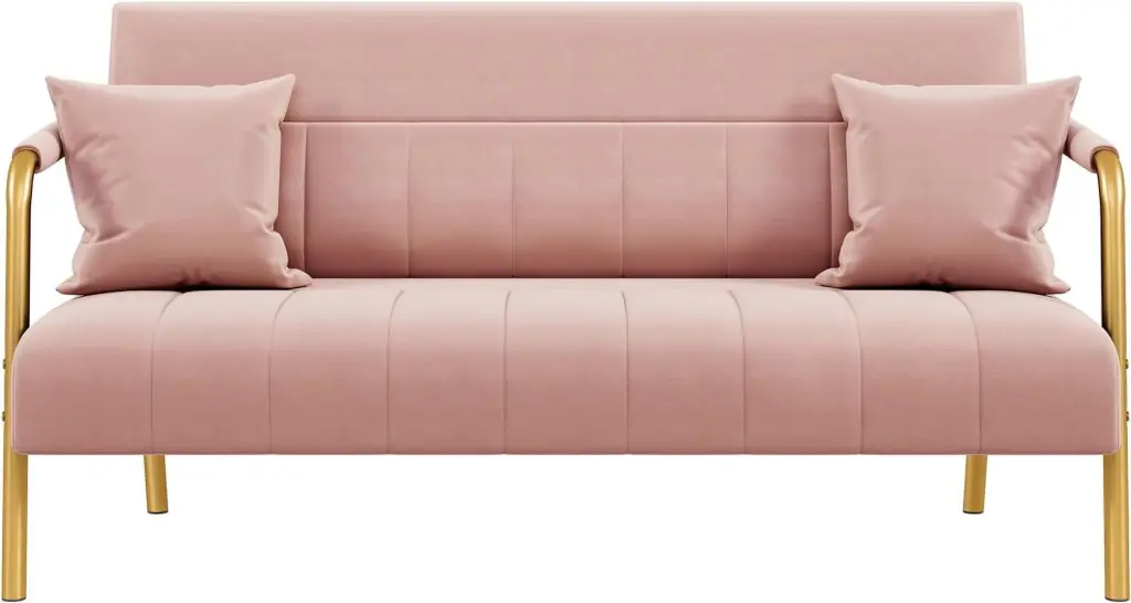 56.5 W Modern Loveseat 2 Seater Sofa Luxurious Velvet Fabric Couch Gold-Tone Metal Legs Pink jq01