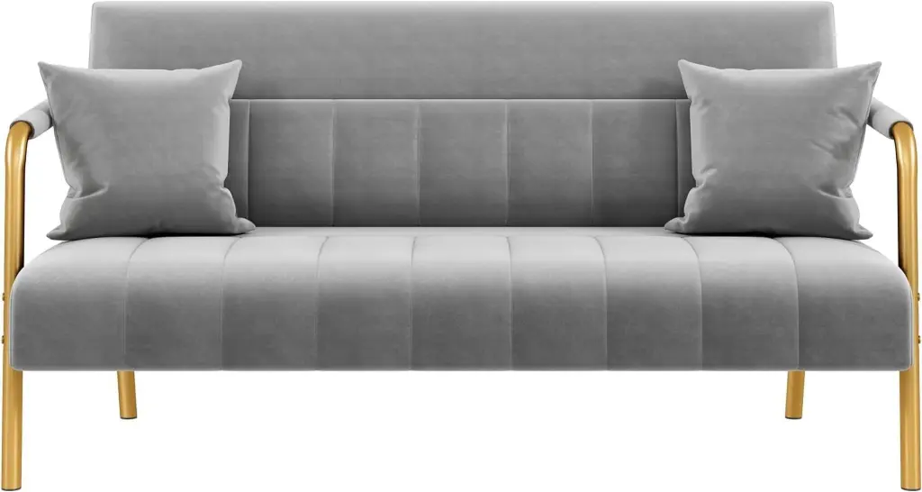 56.5 W Modern Loveseat 2 Seater Sofa Luxurious Velvet Fabric Couch Gold-Tone Metal Legs Light Gray jq01