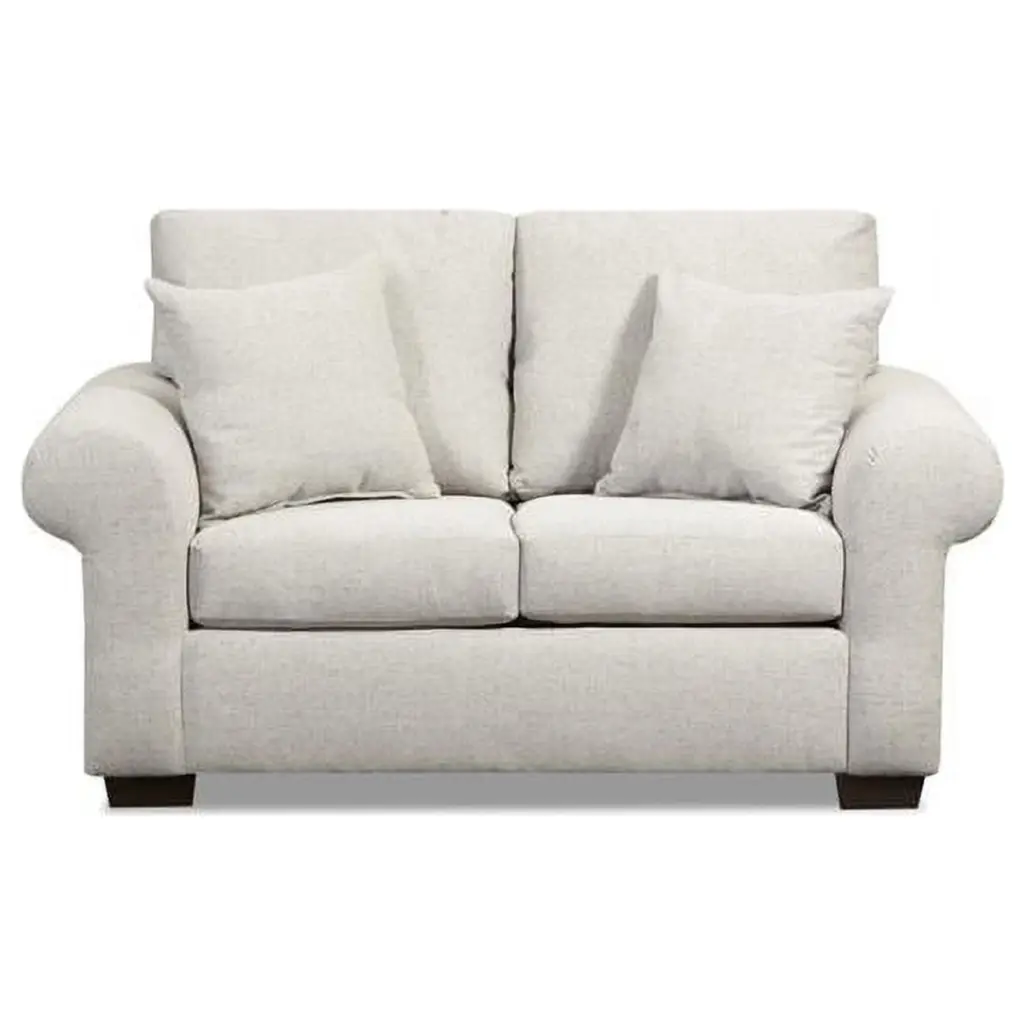 Neo Living Urban Loveseat Sofa Gray Compact Contemporary Living Room