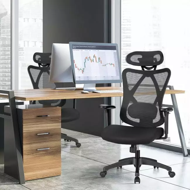 EEPHO High Back Mesh Executive Chair Adjustable Lumbar Support Ergonomic Office Chair