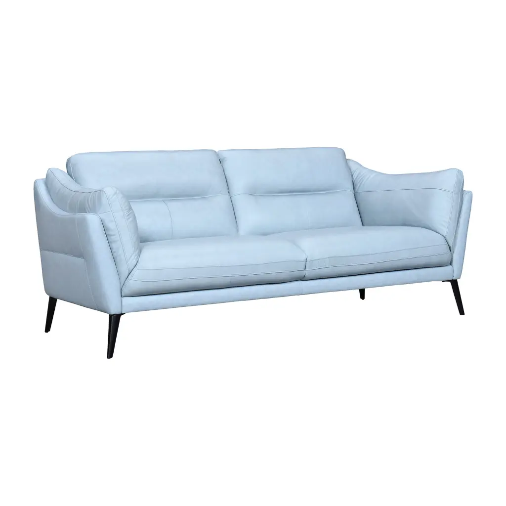 Armen Living Franz Upholstered Metal & Leather Sofa Black/Sky Blue - Modern Unique Sofa Design