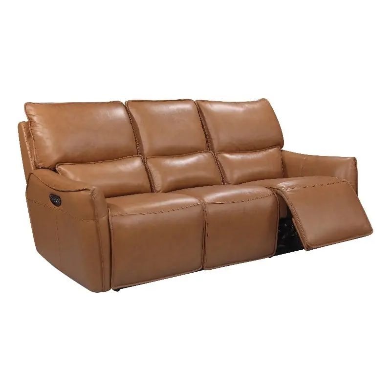 Bowery Hill Modern Desert Brown Genuine Leather Hardwood Sofa
