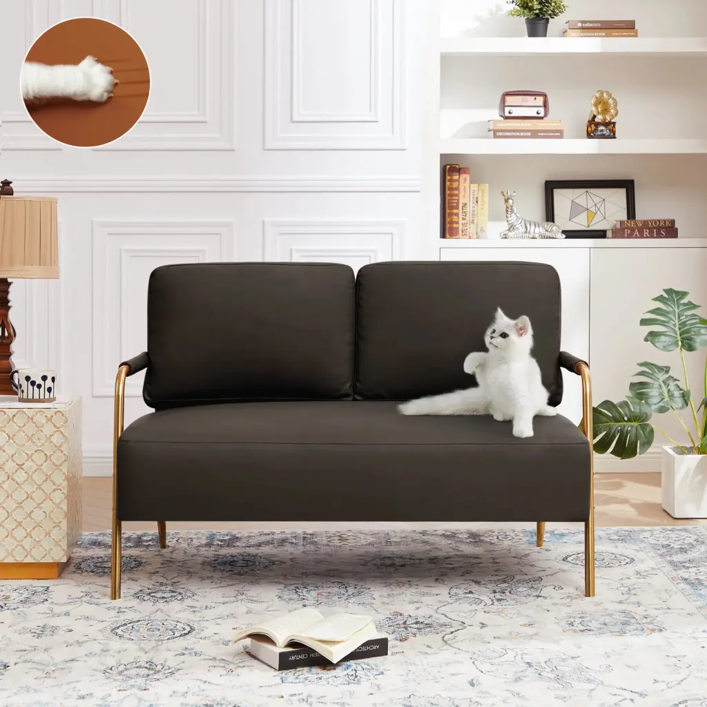 Small Sofa Seater Pet Friendly Fabric Upholstered Loveseat 2-Seater Couch Removable Back Cushion and Metal Leg unknown