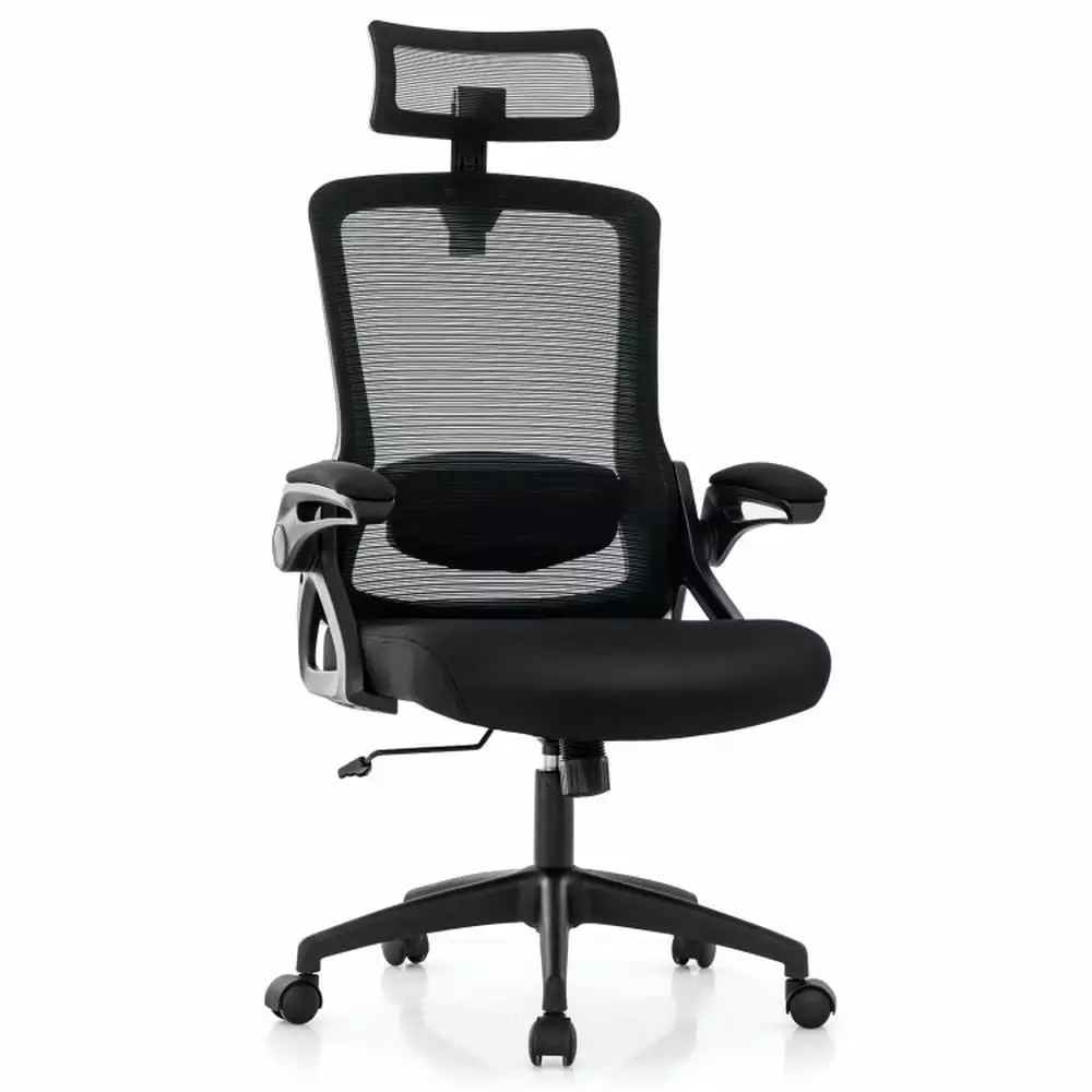 Kadyn Office Chair Ergonomic Computer Chair Adjustable Swivel Task Chair Lumbar