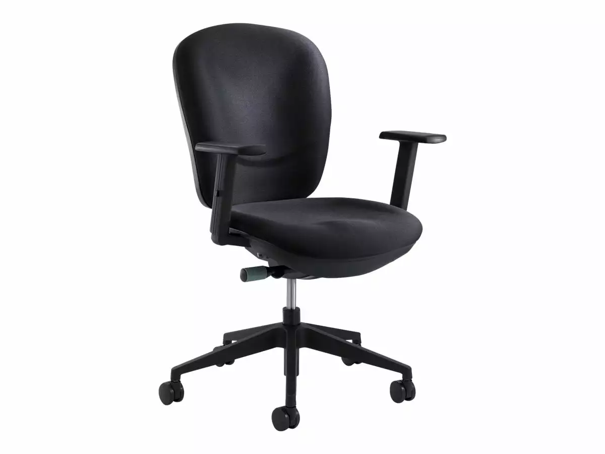 Safco Rae Ergonomic Task Chair T-Shaped Armrests and Swivel Base Black
