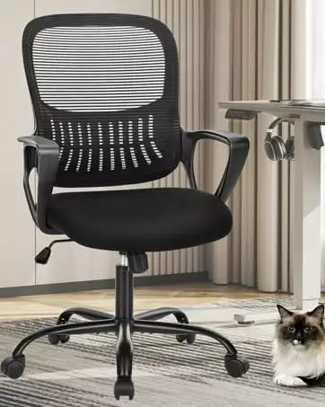 Ergonomic Mid-Back Mesh Office Chair Wheels and Lumbar Support - Black TRAHOO