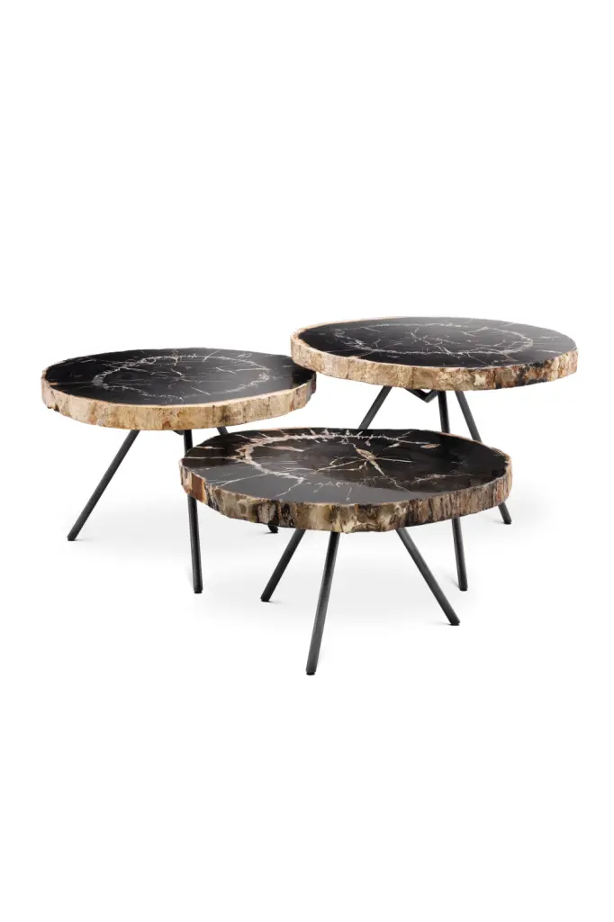Petrified Wood Coffee Table Set Eichholtz De Soto Unique Living Room Tables