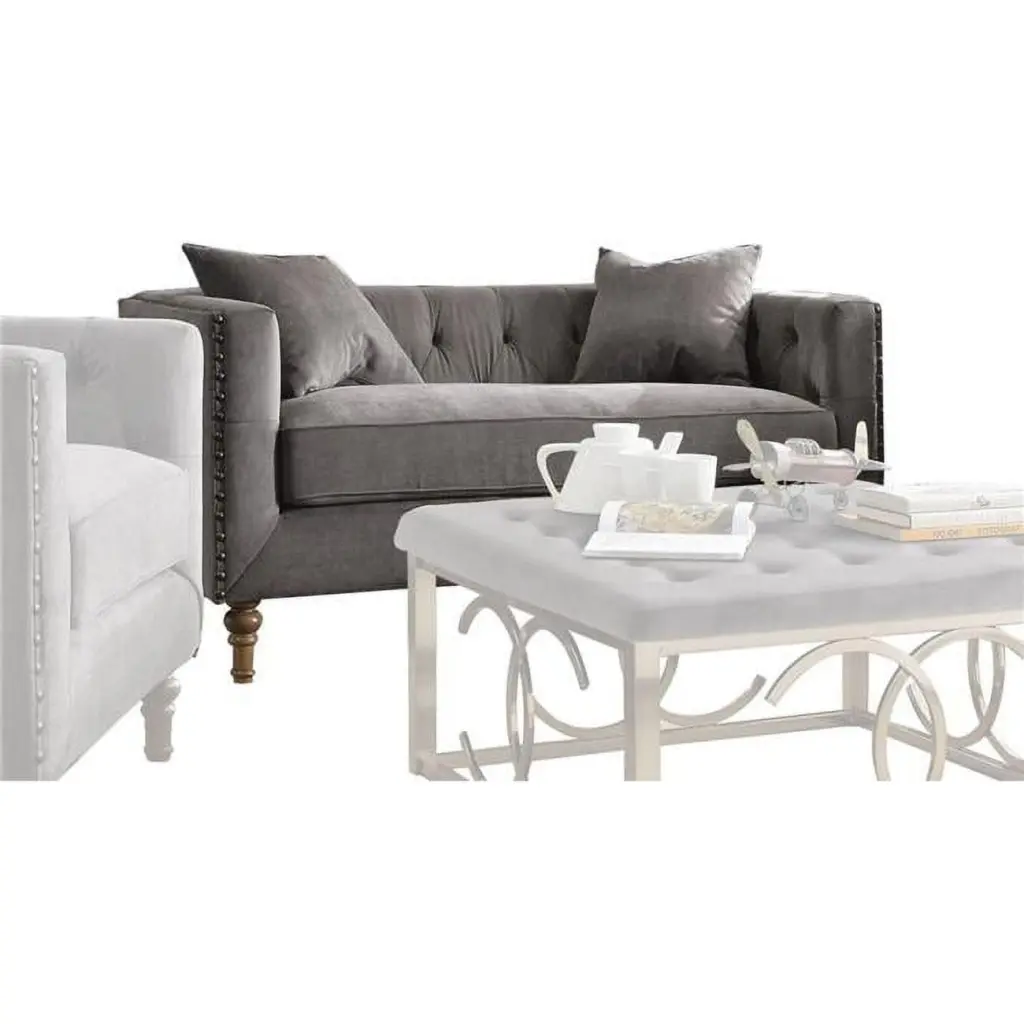 ACME Sidonia Loveseat 2 Pillows Gray Velvet 31 x 62 x 34 Inches